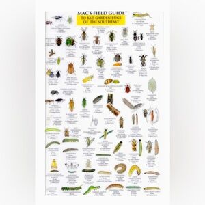 Mac’s Field Guide To Good Bad Garden Bugs Of The Southeast